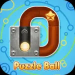 Puzzle Ball
